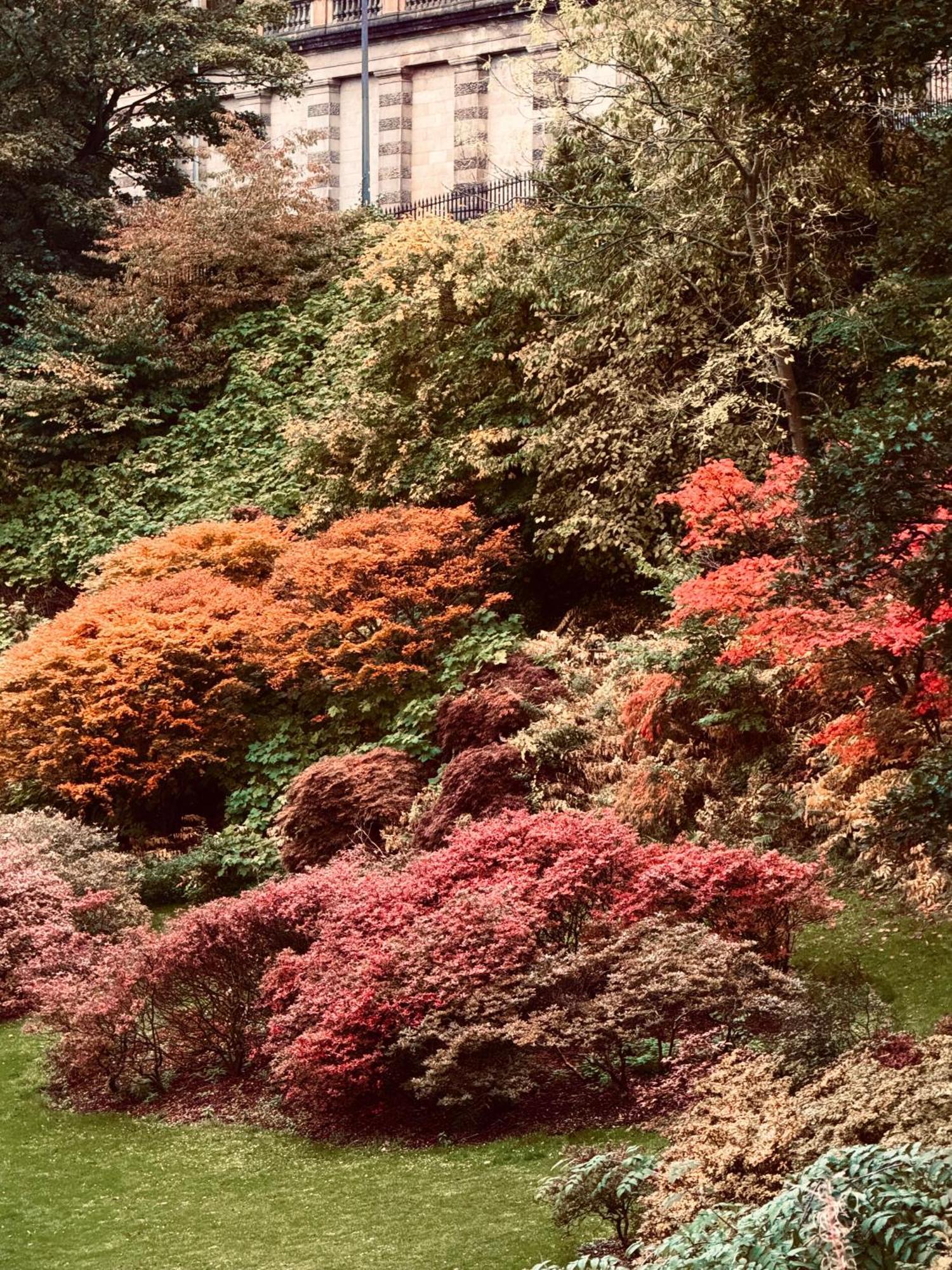 Prehnite Suite Edinburgh Dış mekan fotoğraf
